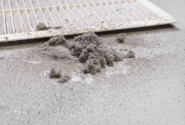 Best Affordable HVAC Duct Cleaning  in Homer Glen, IL