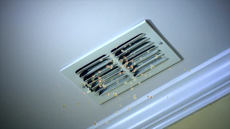 Best Affordable Air Duct Cleaning  in Homer Glen, IL