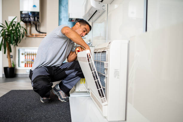 Best Air Duct Cleaning Company Near Me  in Homer Glen, IL