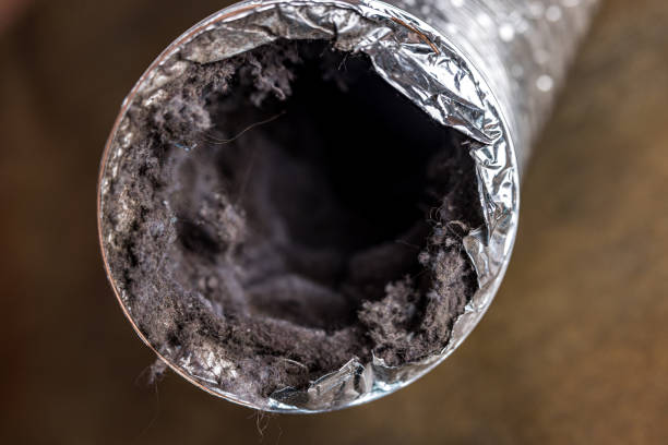 Best Emergency Air Duct Cleaning  in Homer Glen, IL