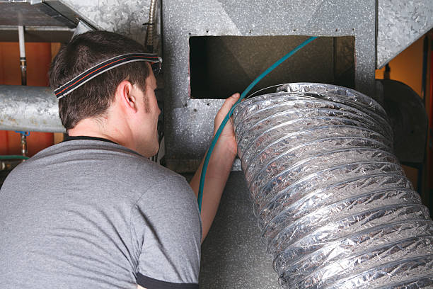 Best Duct Cleaning Specialists  in Homer Glen, IL