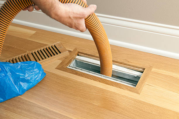 Best Professional Duct Cleaning Services  in Homer Glen, IL
