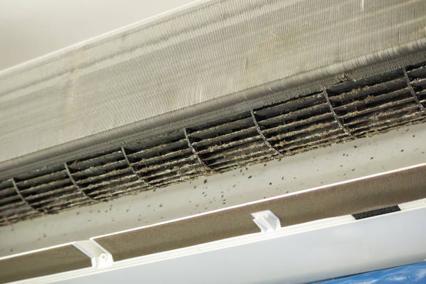 Best Air Vent Cleaning Services  in Homer Glen, IL
